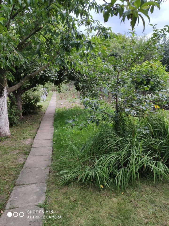 Działka rod Wola Mielecka. Zdjęcie 2