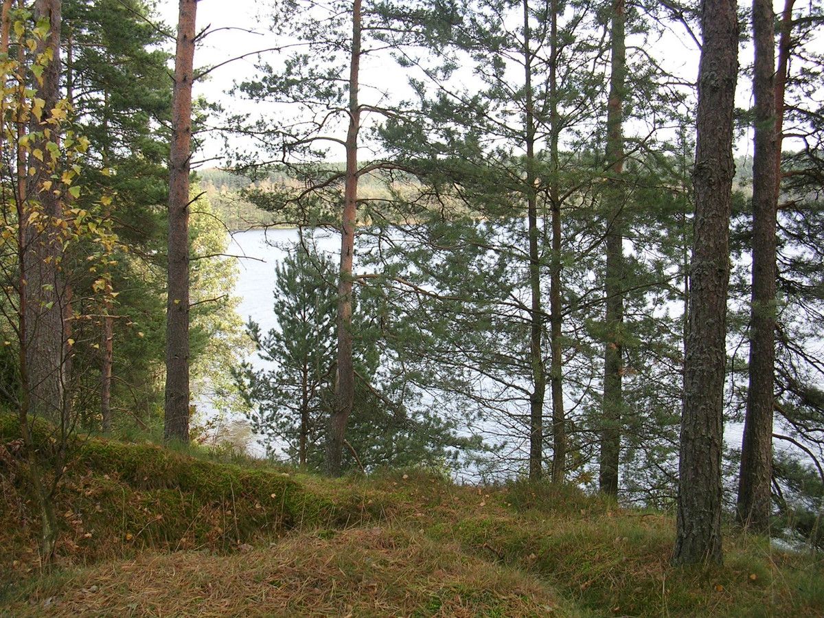 Działka budowlana Borek Kamienny. Zdjęcie 3