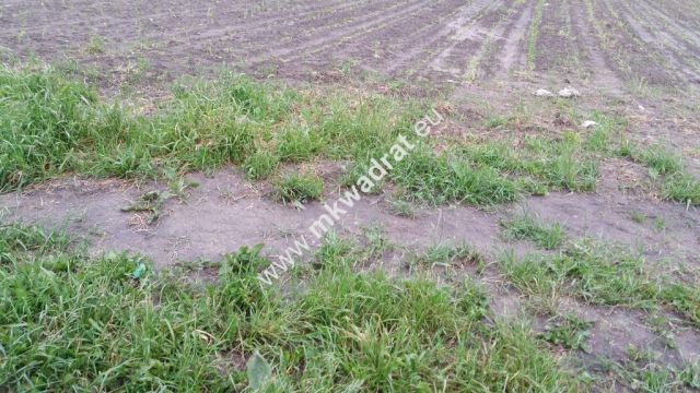 Działka budowlana Chrzanów Mały. Zdjęcie 1