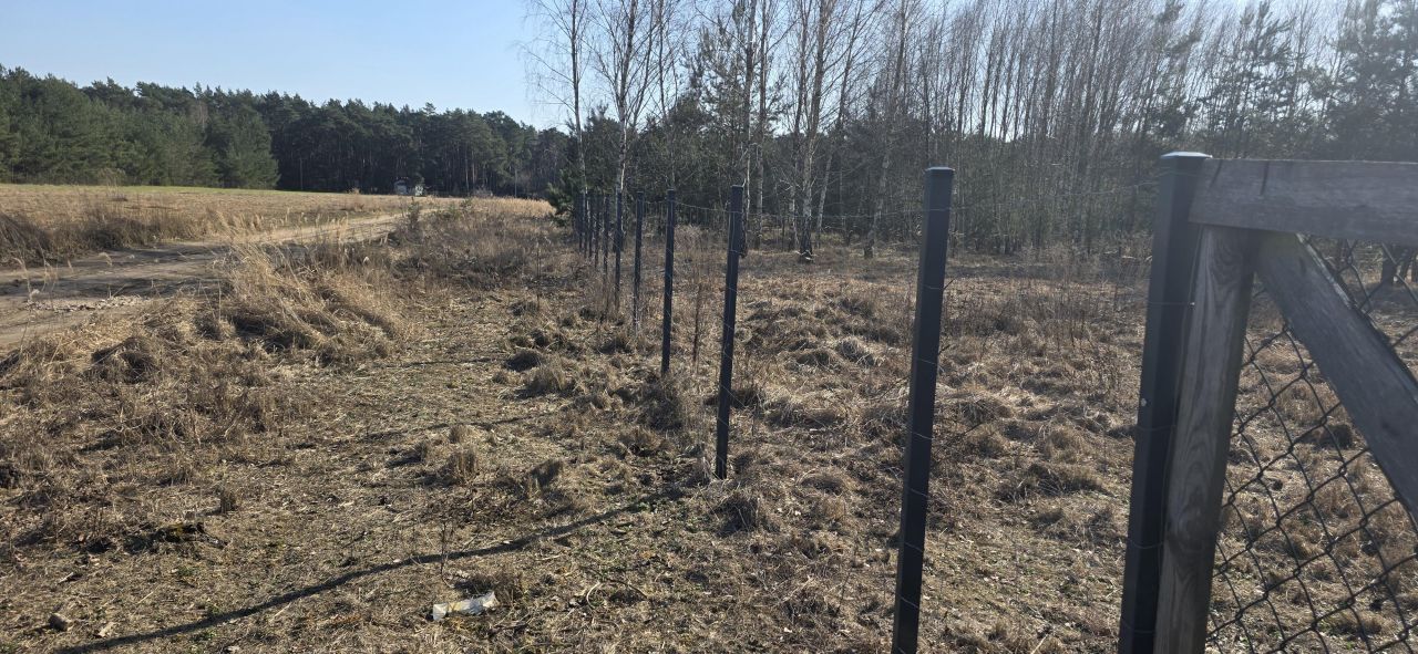 Działka budowlana Sokolniki, ul. Sierpecka. Zdjęcie 11