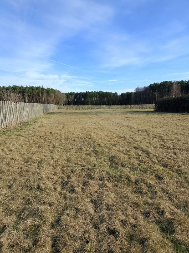 Działka rolno-budowlana Toczeń. Zdjęcie 3