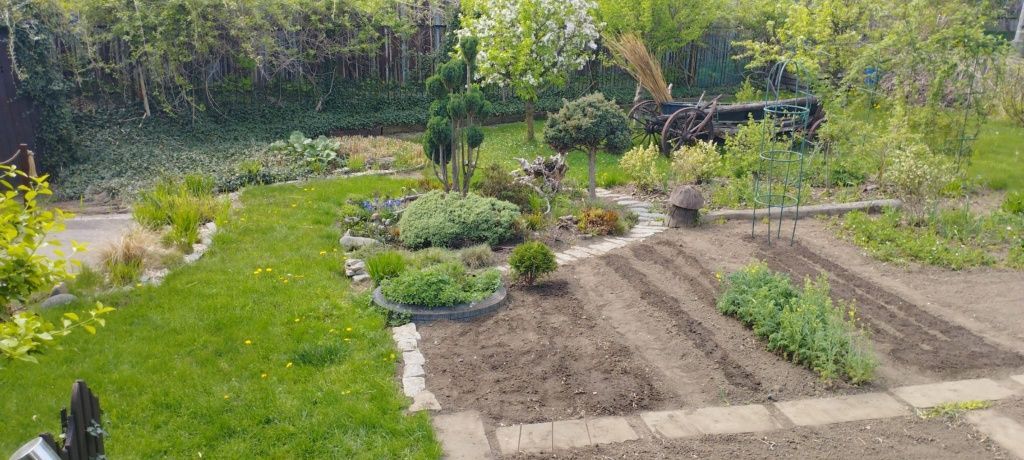 Działka rod Mielec. Zdjęcie 7