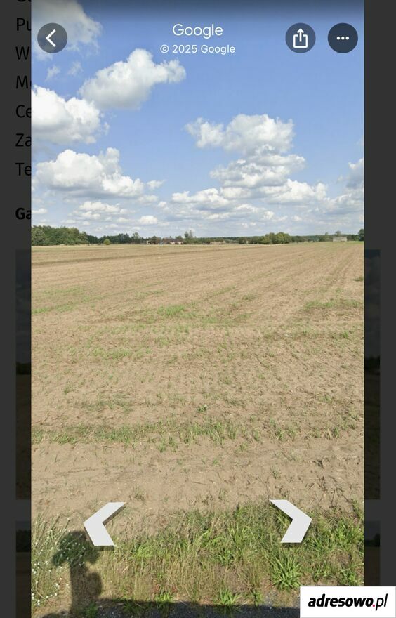 Działka budowlana Rosocha-Kolonia. Zdjęcie 1