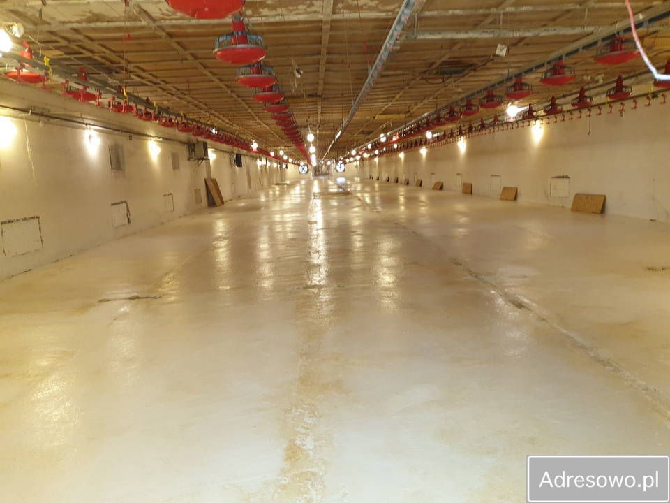 Hala/magazyn Złotówek. Zdjęcie 6