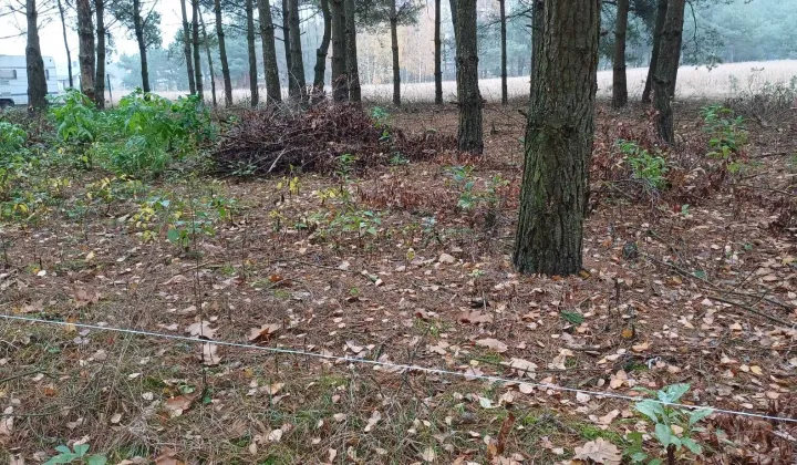 Działka rekreacyjna Skudzawy