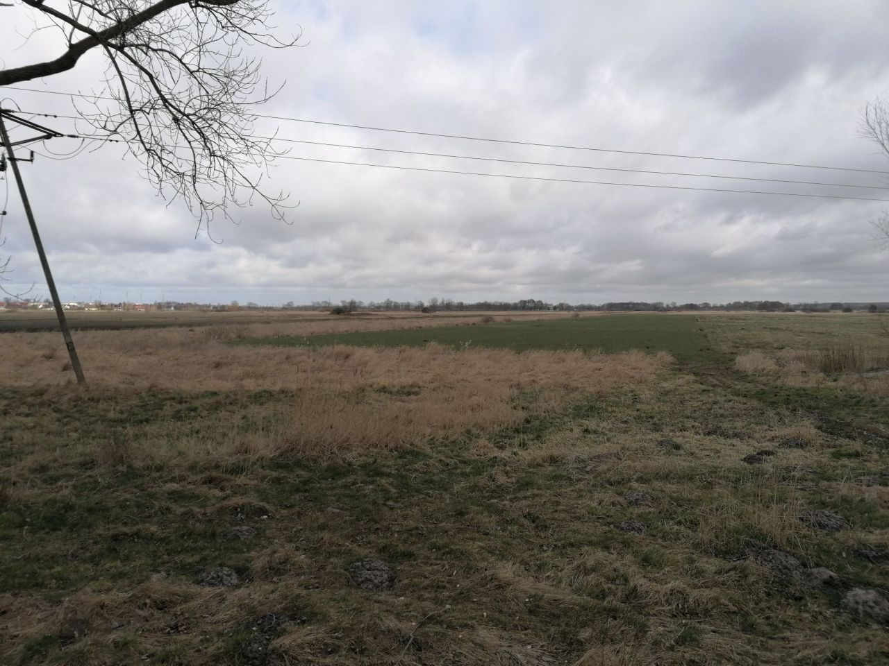 Działka rolna Rusko. Zdjęcie 7