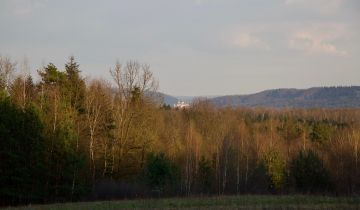 Działka rolno-budowlana Wysoka, Spokojna