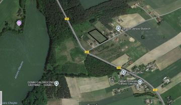 Działka siedliskowa Wichulec