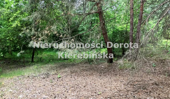 Działka budowlana Rzeczyca, ul. Niska
