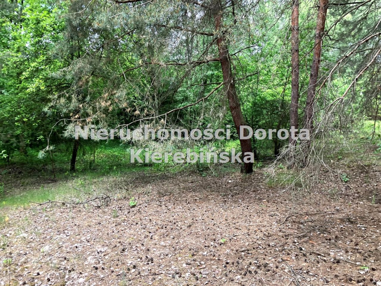 Działka budowlana Rzeczyca, ul. Niska