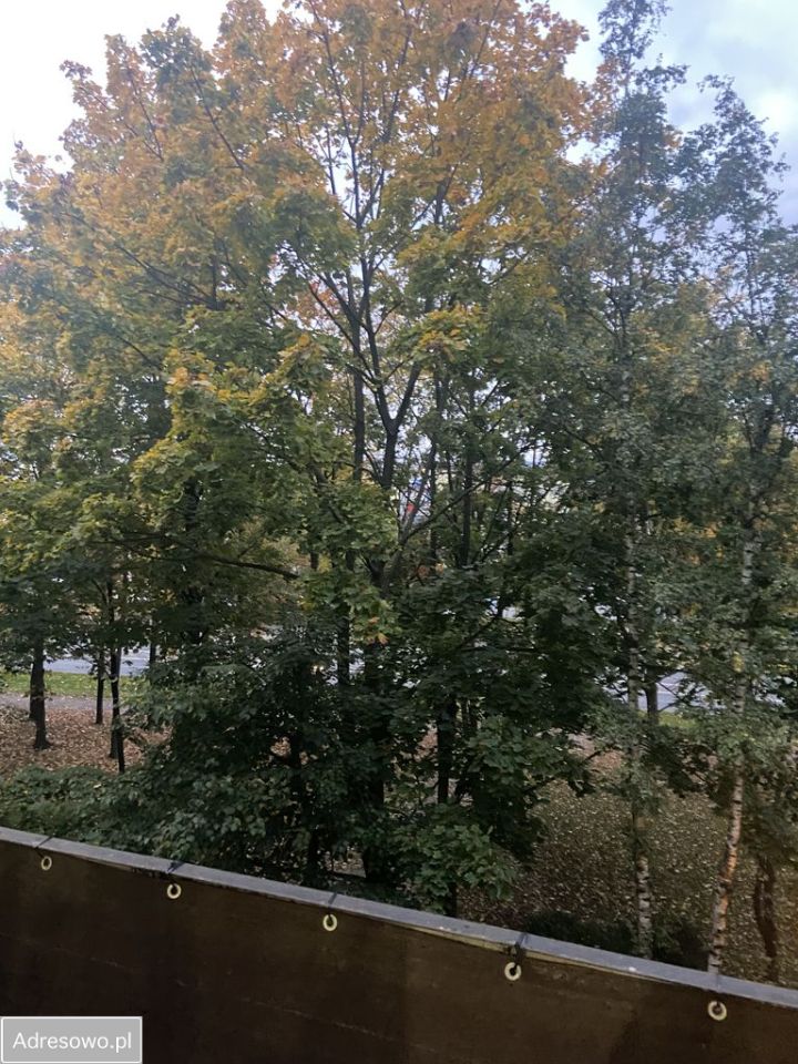 Mieszkanie 3-pokojowe Dzierżoniów, os. Błękitne. Zdjęcie 4