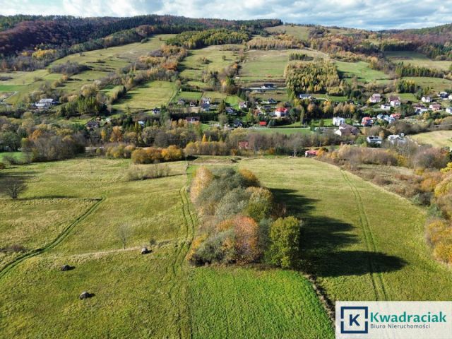 Działka rolna Rymanów-Zdrój Deszno. Zdjęcie 5