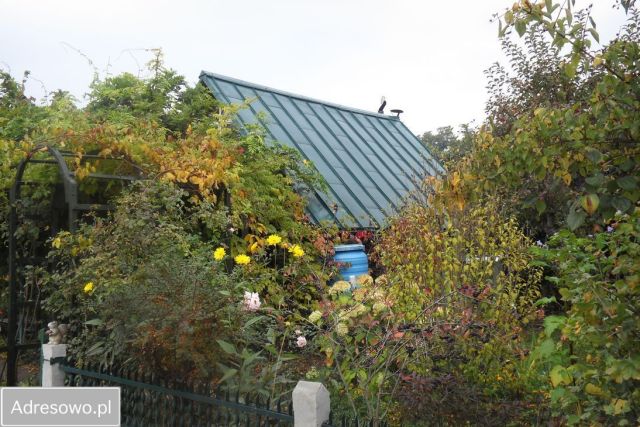 Działka rod Lubin. Zdjęcie 1