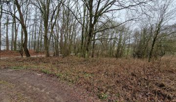 Działka rolna Gorzycko