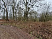 Działka rolna Gorzycko. Zdjęcie 1