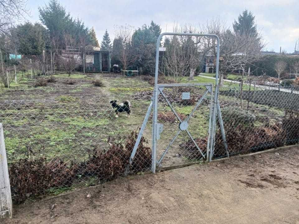 Działka rod Leszno Leszczynko. Zdjęcie 4