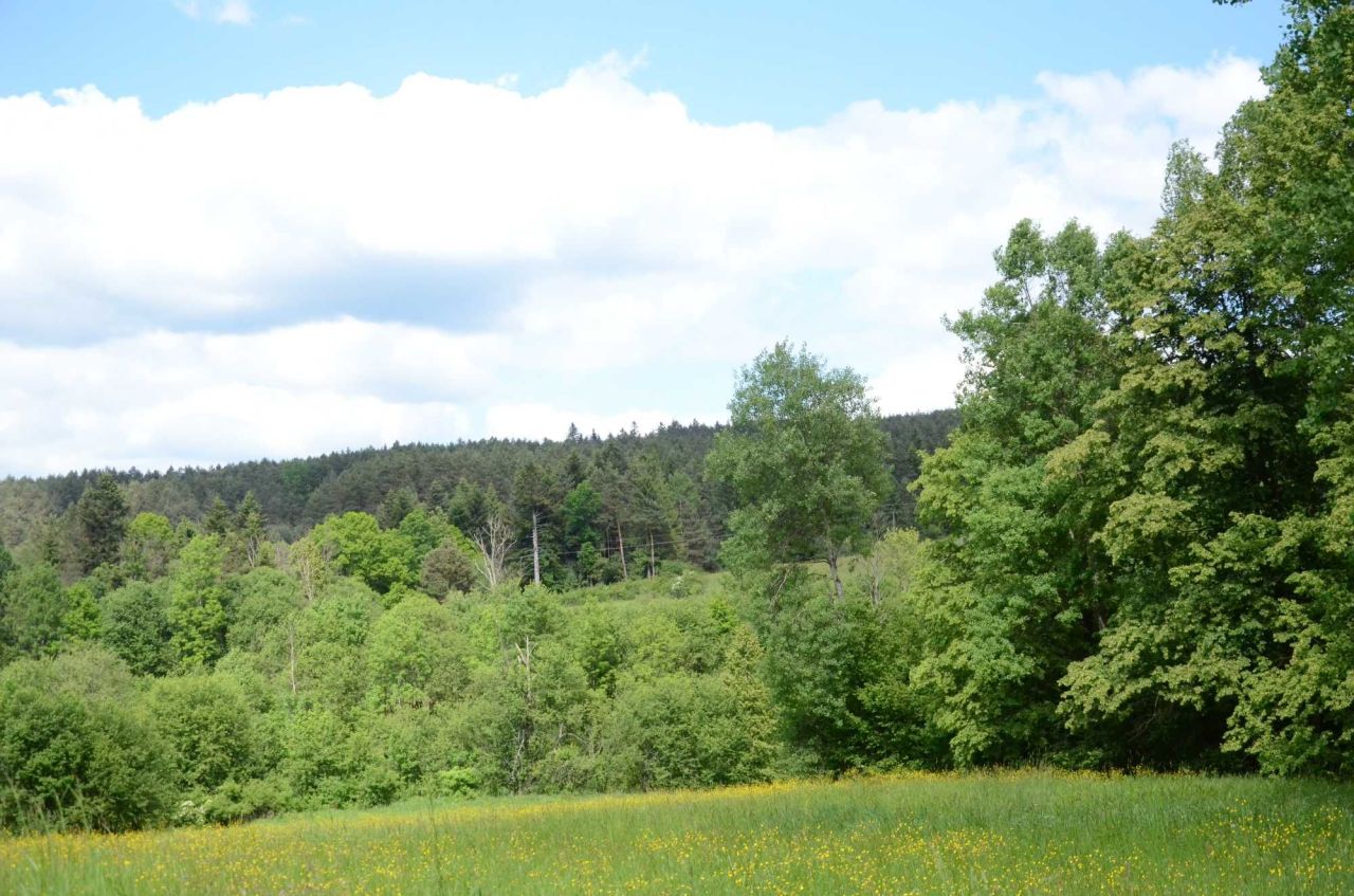 Działka budowlana Skwirtne. Zdjęcie 8