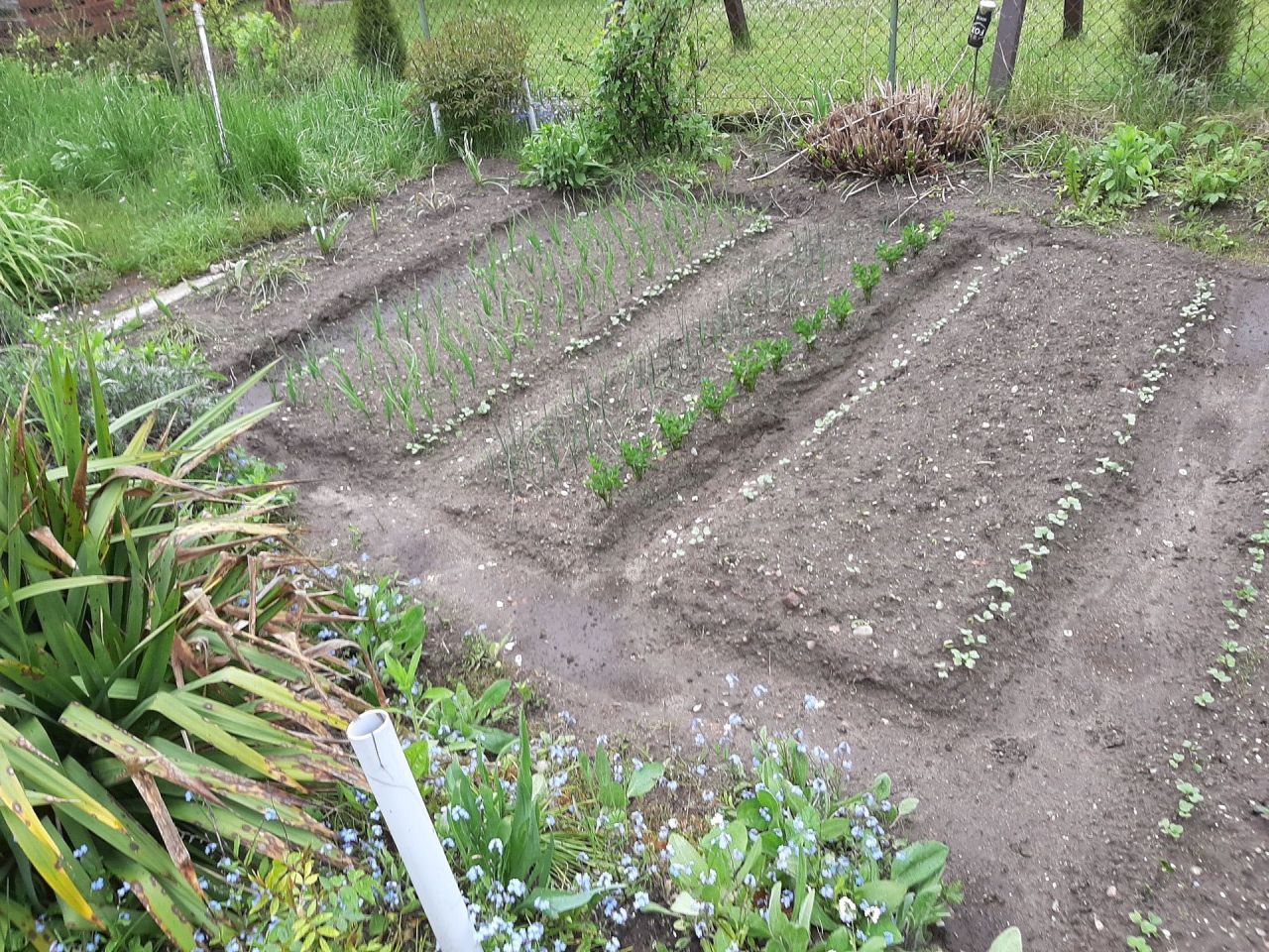 Działka rod Olsztyn. Zdjęcie 6