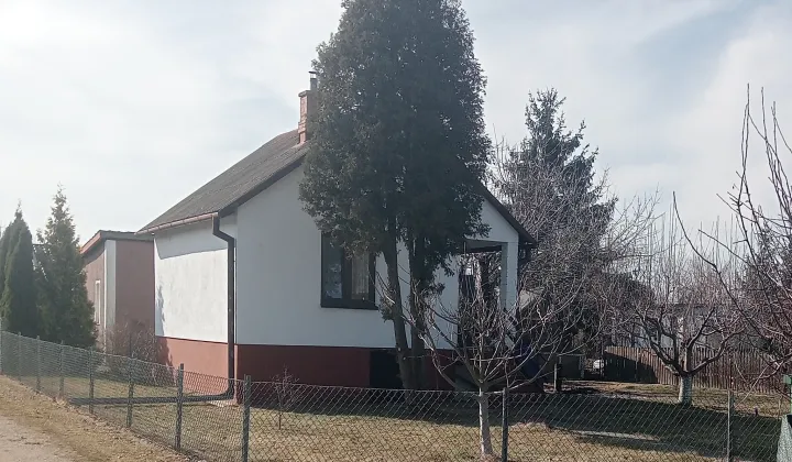 Działka rod Mszczonów, Działkowa