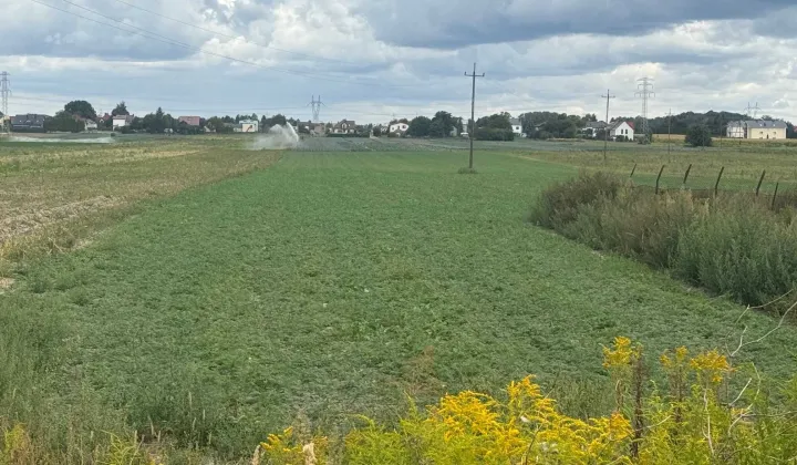 Działka rolno-budowlana Babice Nowe, ul. Ogrodnicza