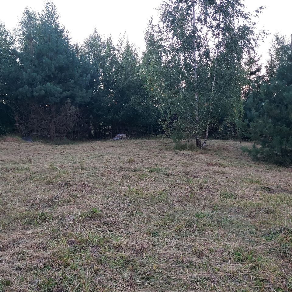 Działka rekreacyjna Oszkinie. Zdjęcie 7