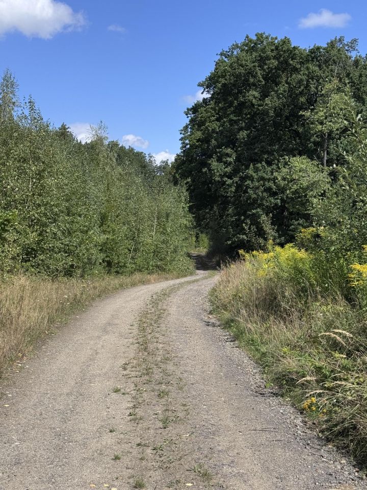 Działka budowlana Roztocznik Dobrocinek, Dobrocinek. Zdjęcie 8