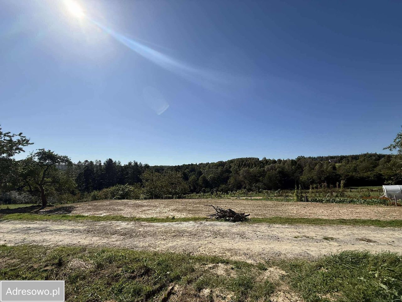 Działka budowlana Tyczyn, ul. Lasek. Zdjęcie 6