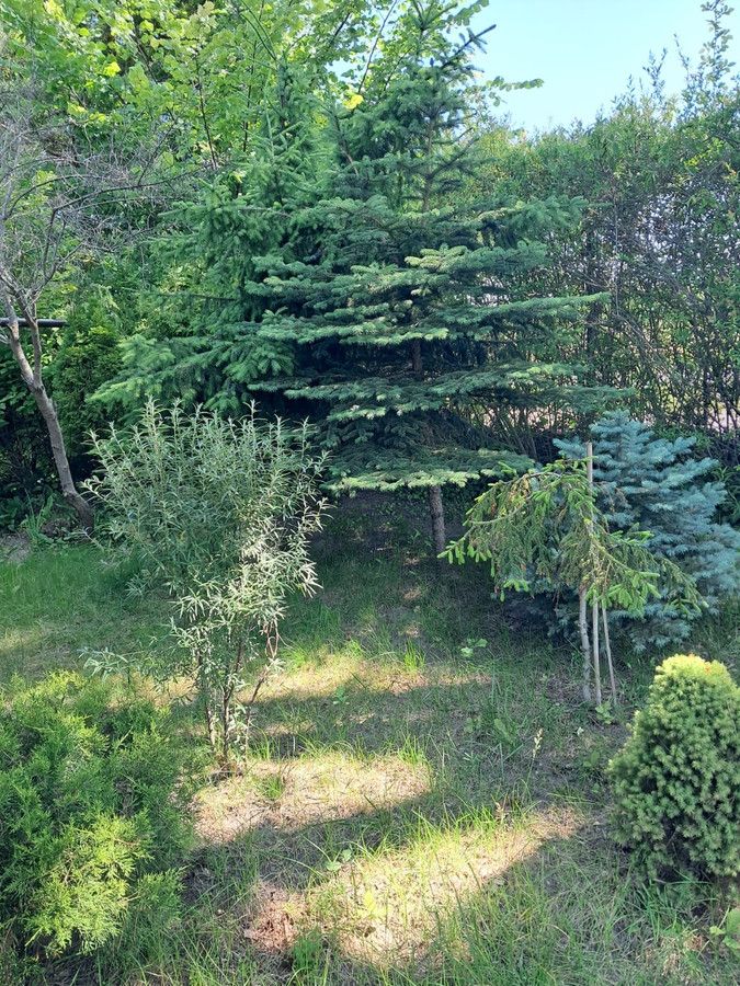 Działka rod Odrano-Wola. Zdjęcie 4