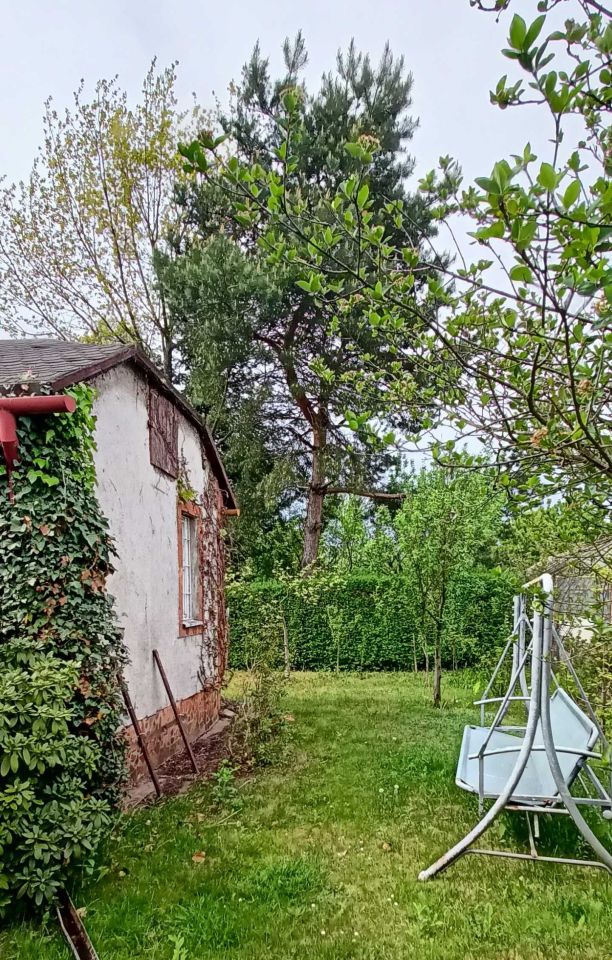 Działka rod Częstochowa Wrzosowiak, ul. Bór. Zdjęcie 5