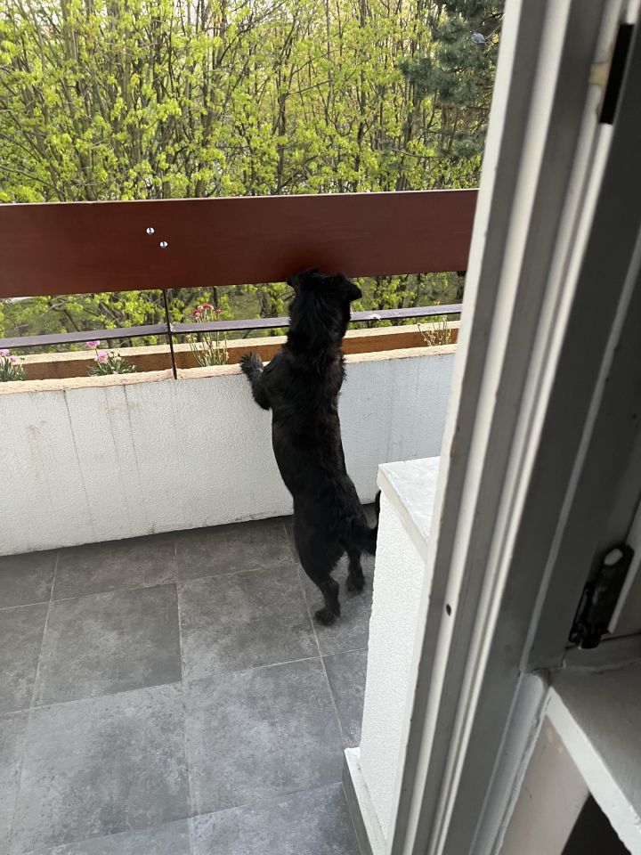 Mieszkanie 4-pokojowe Lublin Czechów Dolny, ul. Lawinowa. Zdjęcie 8