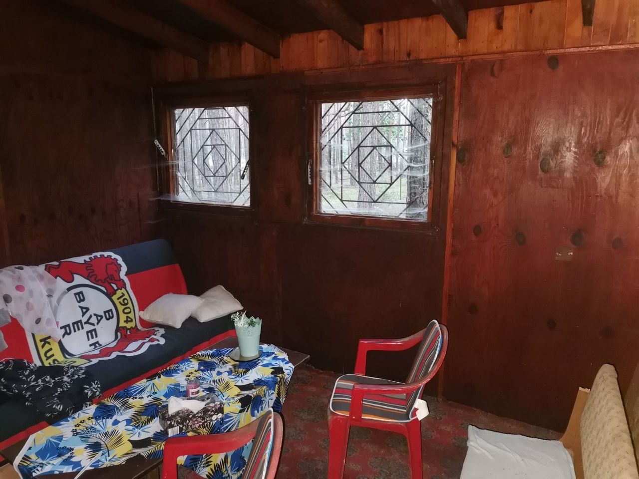 Działka leśna Rokitnica. Zdjęcie 5