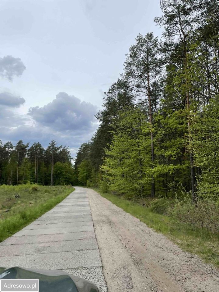 Działka budowlana Dołgie. Zdjęcie 3