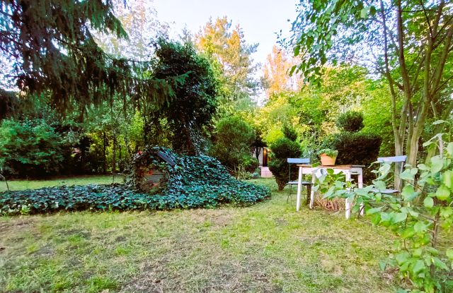 Działka rod Poznań Winogrady, ul. Kazimierza Pułaskiego. Zdjęcie 1