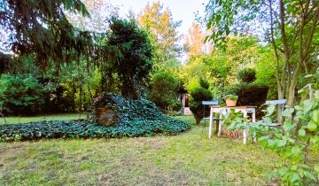 Działka rod Poznań Winogrady, ul. Kazimierza Pułaskiego