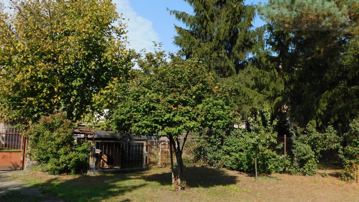 dom wolnostojący, 3 pokoje Marki, al. marsz. Józefa Piłsudskiego. Zdjęcie 6