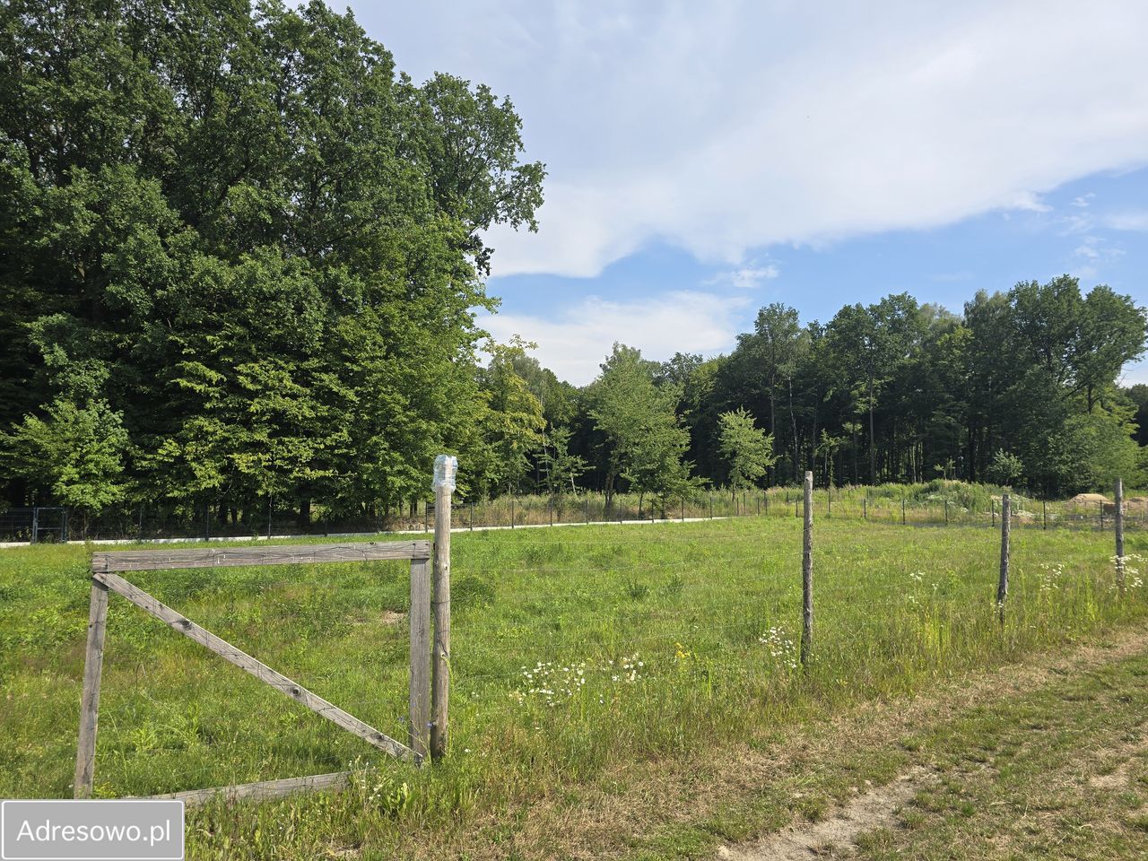 Działka siedliskowa Piotrawin. Zdjęcie 2