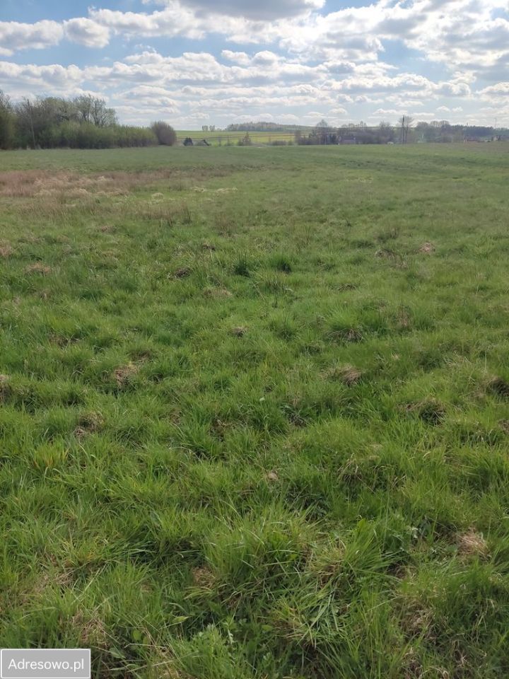 Działka rolno-budowlana Lgota Błotna. Zdjęcie 3