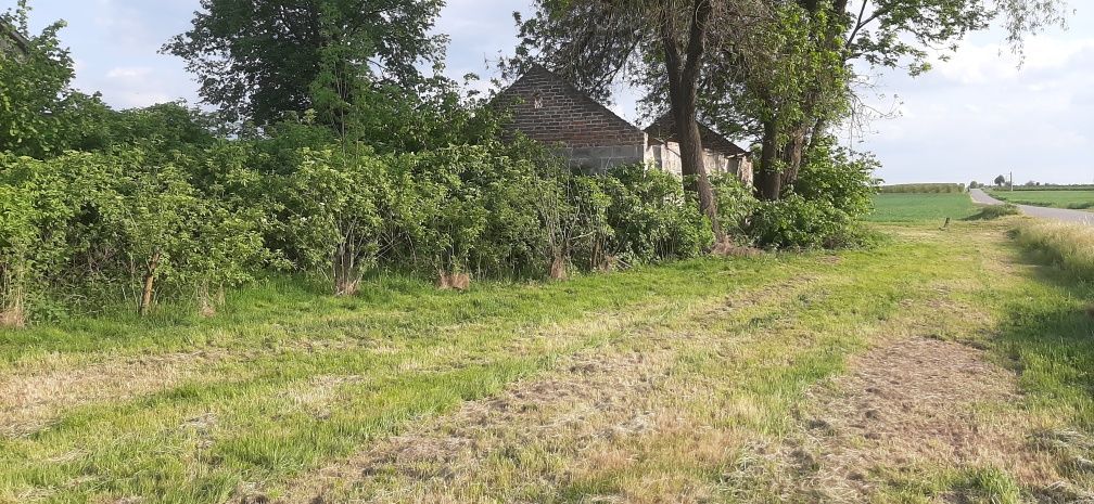 Działka rolno-budowlana Ratoszyn Pierwszy. Zdjęcie 4