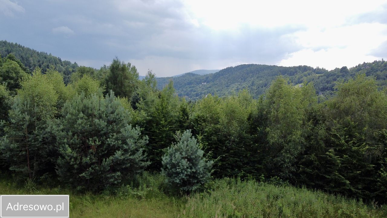 Działka inwestycyjna Pcim. Zdjęcie 3