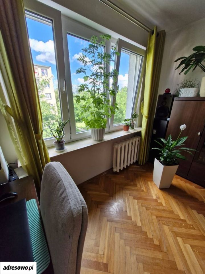 Mieszkanie 3-pokojowe Toruń Chełmińskie Przedmieście, ul. Rusa. Zdjęcie 16