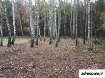 Działka Samogoszcz. Zdjęcie 2