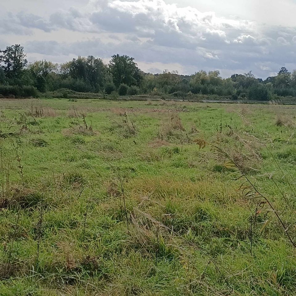 Działka budowlana Wierzbna, ul. Kwiatowa. Zdjęcie 7