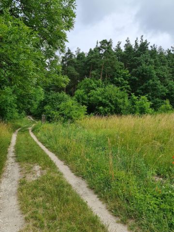 Działka budowlana Oleszno, ul. Lednicka. Zdjęcie 1