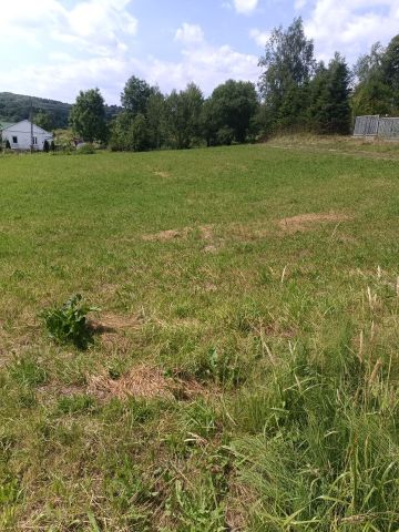 Działka budowlana Przedmieście Dubieckie. Zdjęcie 1