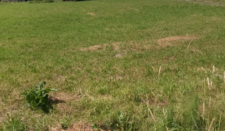 Działka budowlana Przedmieście Dubieckie