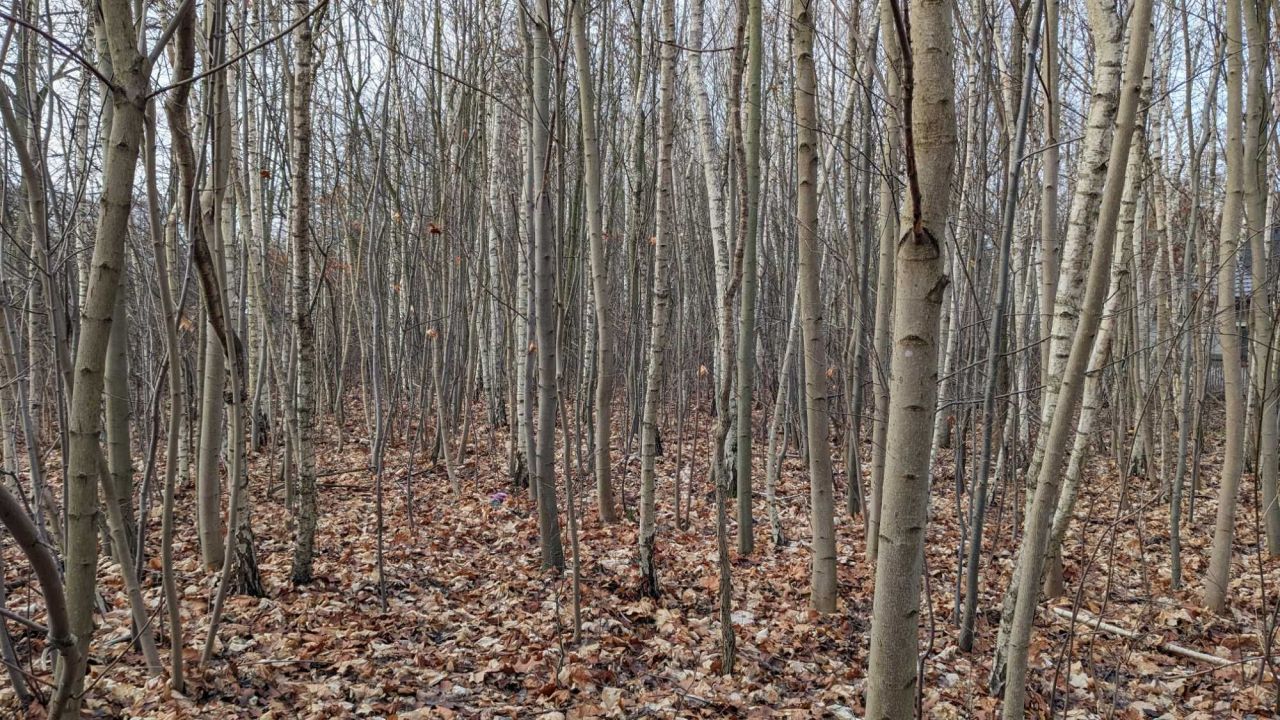 Działka budowlana Odrano-Wola. Zdjęcie 5