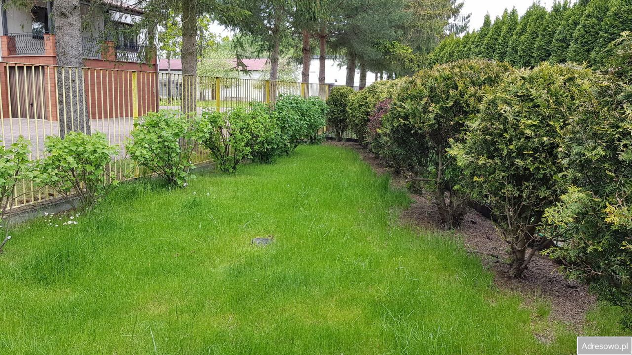 Działka rod Nadarzyn, ul. Żółwińska. Zdjęcie 5