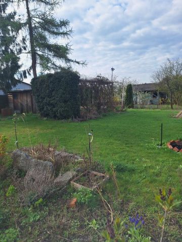 Działka rod Oleśnica, ul. Wileńska. Zdjęcie 1