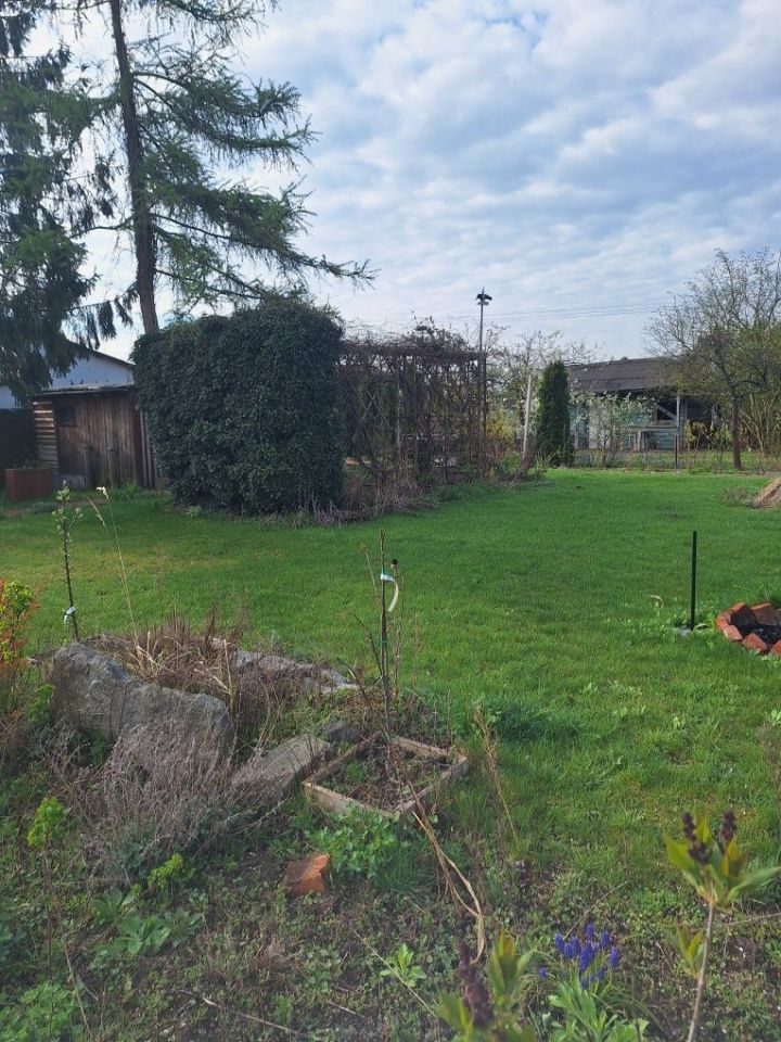 Działka rod Oleśnica, ul. Wileńska. Zdjęcie 1