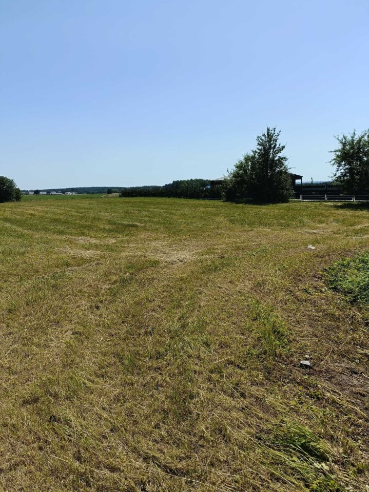 Działka rolno-budowlana Bohdan. Zdjęcie 2